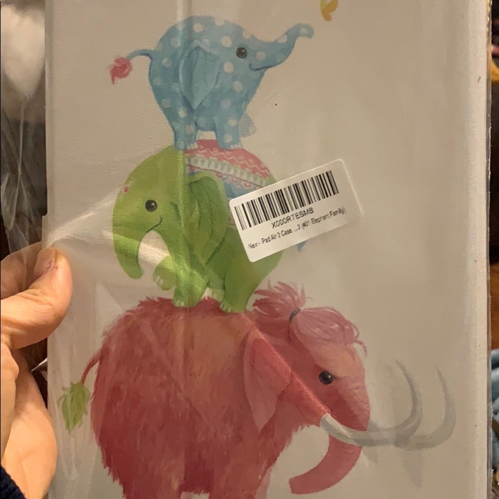New iPad Air 2 case